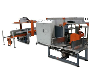 Case erector machine